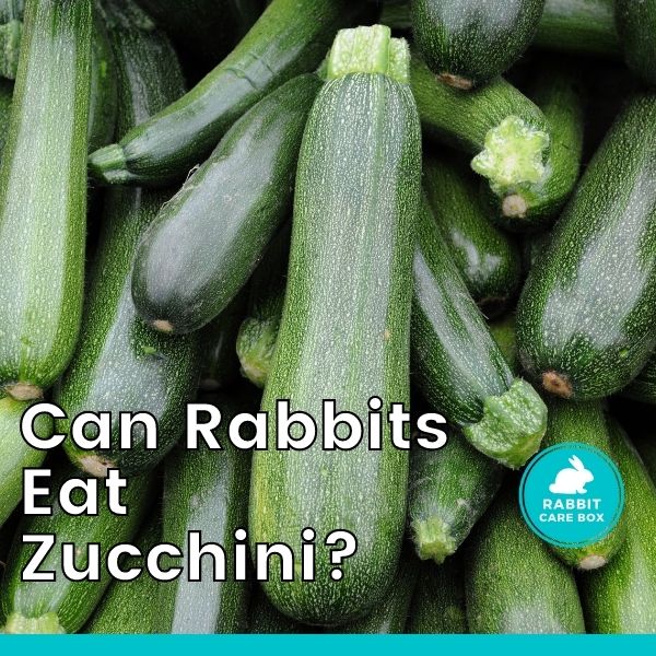 can babies eat zucchini skin